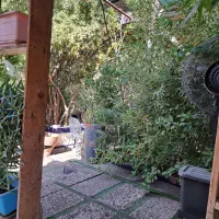 سالندار(ویتر)