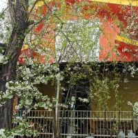 6000متر-باغ-با-پروژه-نیمه-کاره-اقامتی-سند-دار