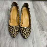 کفش پلنگی|کیف، کفش، کمربند|ملایر, |دیوار