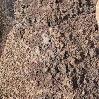 کود بلدرچین|گل و گیاه طبیعی|مبارکه, |دیوار