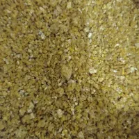 یبلغورشیرگوسفندی پرچرب