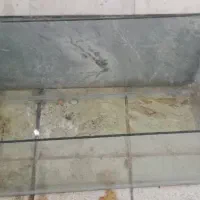 اکواریم