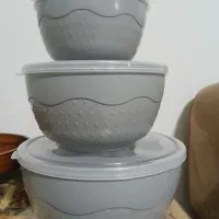 ظرف مایکروفری