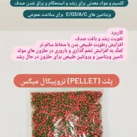 انواع نژاد حلزون و انواع ملزومات نگهداری|لوازم جانبی حیوانات|اهواز, شهرک حفاری|دیوار