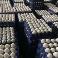 فروش تخم مرغ سیمرغ روز|خوردنی و آشامیدنی|اصفهان, محمودآباد|دیوار