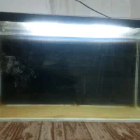 اکواریوم هشتاد سانت|ماهی|خوی, |دیوار