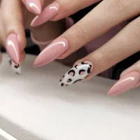 اجاره میز و صندلی تمامی لاین ها