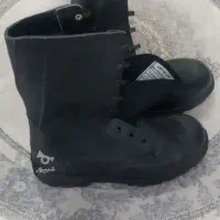 پوتین  کادر