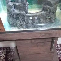 اکواریوم  ماهی