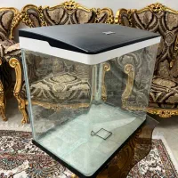 آکواریوم دلسا شرکتی|ماهی|اراک, |دیوار