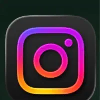 فروش فالور کیفیت بالا