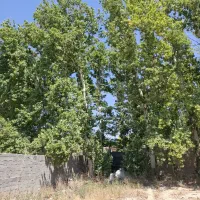 تجاری خدایار خان