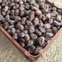 خرما|خوردنی و آشامیدنی|رودان, |دیوار