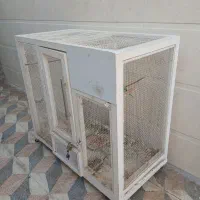 قفس|لوازم جانبی حیوانات|بوشهر, |دیوار