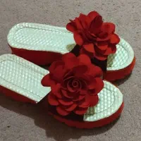 دمپایی مجلسی و کفش زمستانی