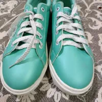 کفش نو|کیف، کفش، کمربند|مشهد, نوده|دیوار