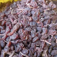 کشمش بیدانه آفتابی آبگیری درجه ۱