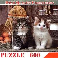 پازل های زیبا،  بلک پینک