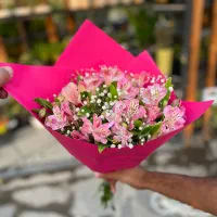 دسته گل الستر و عروس فقط ۷۵۰|گل و گیاه طبیعی|تهران, گلستان (شهرک راه آهن)|دیوار
