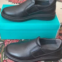 کفش|کیف، کفش، کمربند|اصفهان, بهارستان|دیوار