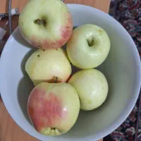 سیب گلاب
