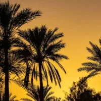 فروش ملک و زمین در طبل و سلخ|فروش زمین و ملک کلنگی|قشم, |دیوار