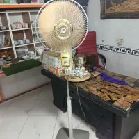 پنکه ی دومتری ناسیونال کلکسیونی موزه ای