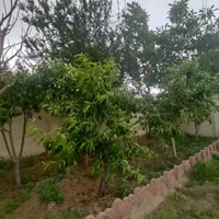 باغچه شهرکی/سندتکبرگ/آب برق گازکنتور/کردان سهیلیه|فروش زمین و ملک کلنگی|کرج, فاز ۲ مهرشهر|دیوار
