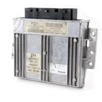 کامپیوتر ساژم پژو۲ عدد