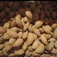 بادام شیرین