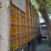 فروش بادسان مدل ،82