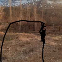 زمین باغی زیاران