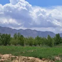 باغ میوه با استخر در شمال کشور