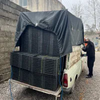 تولیدی سینی نشا آستانه اشرفیه|عمده‌فروشی|آستانه اشرفیه, |دیوار