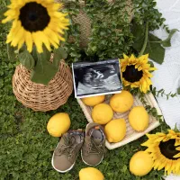 عکاس|خدمات پذیرایی، مراسم|تهران, سهروردی|دیوار