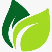 همکاری برای تکمیل لاین های زیبایی