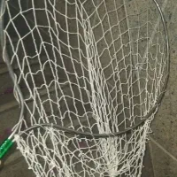 مایل به معاوضه نیستم