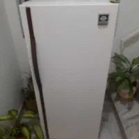 یخچال خانگی