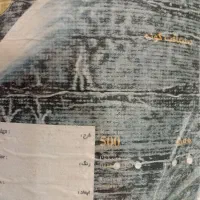 فرش۱۲متری مشهدجفت۵۰۰شانه اصل تراکم۱۰۰۰کاملانخ پنبه|فرش|مشهد, طلاب|دیوار