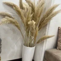 اپارتمانی گل