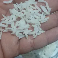 برنج کامفیروزی|خوردنی و آشامیدنی|بانش, |دیوار