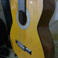 گیتار سفارشی  با پایه ی فلزی