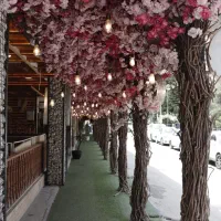 نصب چمن مصنوعی،گرین وال ترموودو فنس اجرای حرفهای|خدمات باغبانی و درختکاری|مشهد, گلبرگ|دیوار