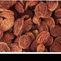 خریدهسته هلو و شفتالو