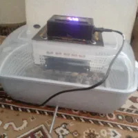 دستگاه جوجه کشی