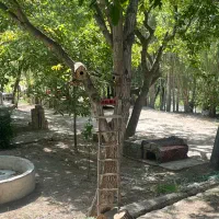 بومگردی باغ حافظ در دل طبیعت کنار رودخانه