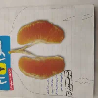 کتاب کار تیزهوشان خیلی سبز هفتم