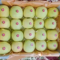 تامین کننده وعمده فروشی،سیب زمینی،پیاز،میوه مرکبات