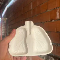 زیرسیگاری مدل ریه