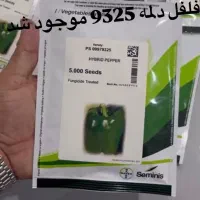 بذر فلفل دلمه